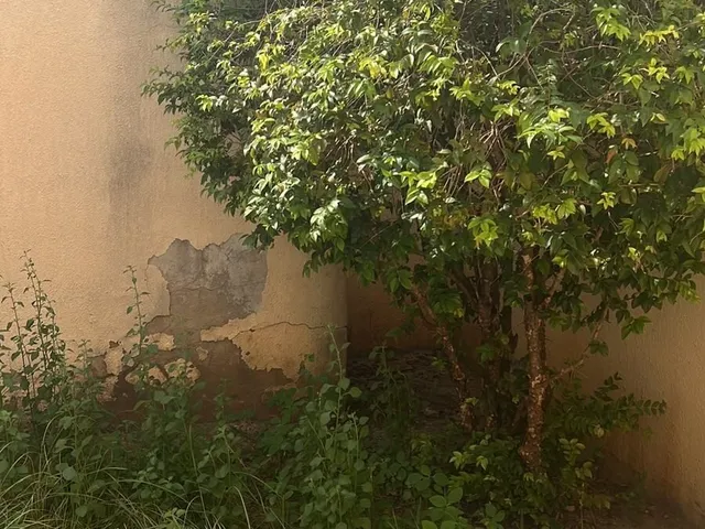 Imagem 2: Casa À Venda no Bairro Flamboyant - Cuiabá/Mt