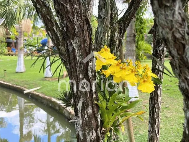 Imagem 3: Sítio, Morretes - Balneário Piçarras