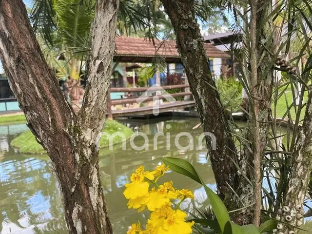 Imagem 14: Sítio, Morretes - Balneário Piçarras