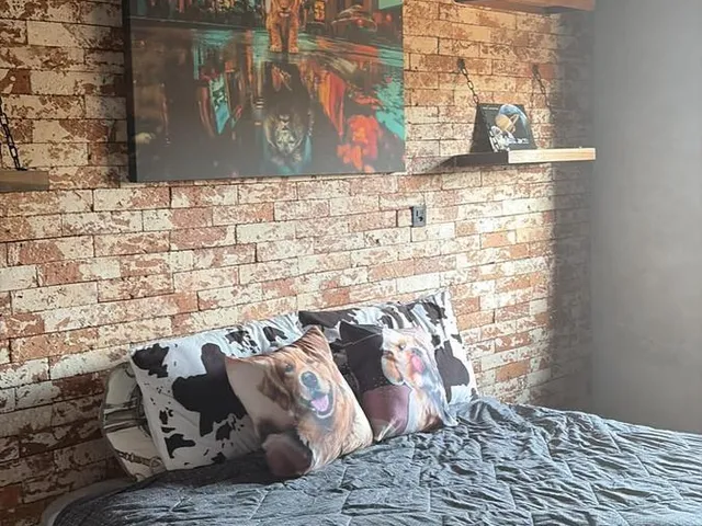 Imagem 8: 0 Casa com 2 dormitórios