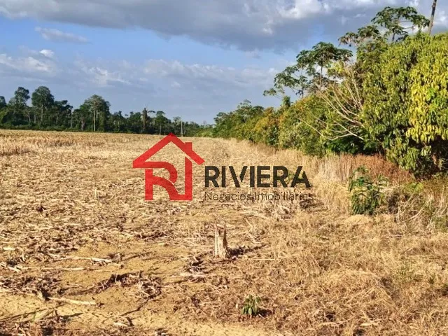 Imagem 2: Fazenda Rural em Rondon do Pará - Pa, Centro