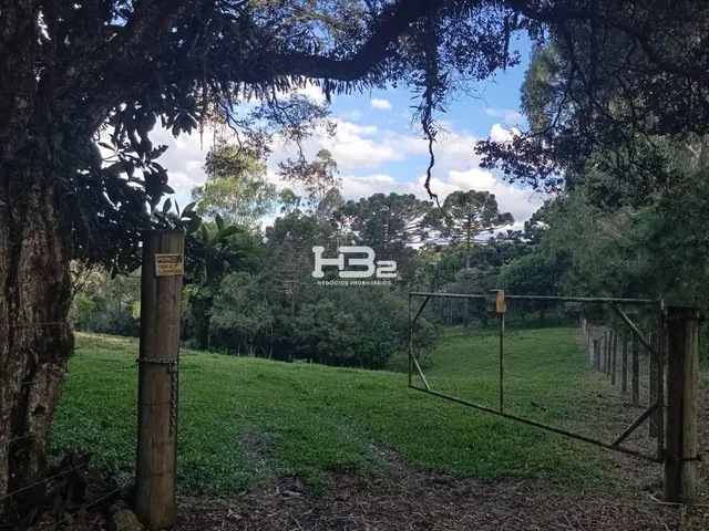 Imagem 4: Area Urbana/Rural