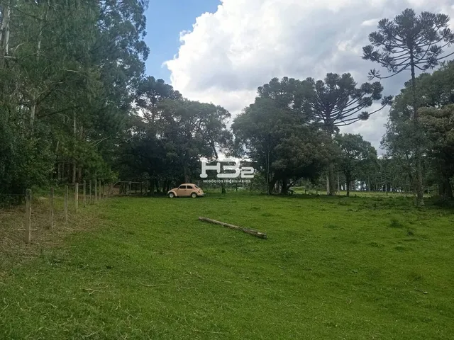 Imagem 3: Area Urbana/Rural