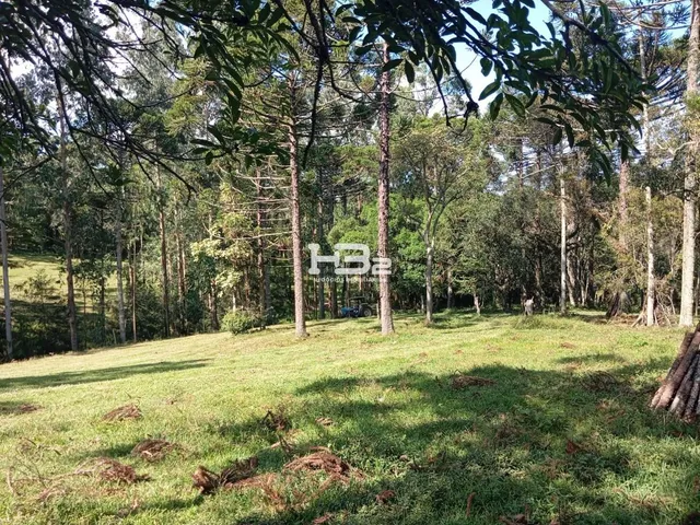 Imagem 9: Area Urbana/Rural