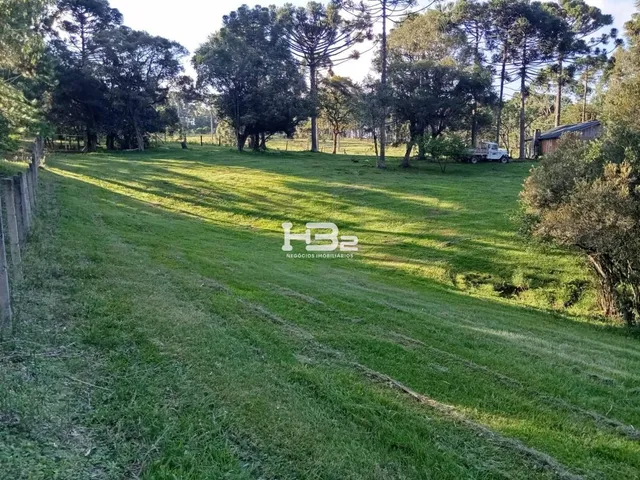 Imagem 5: Area Urbana/Rural