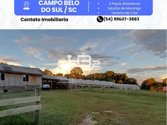 Imagem: Terreno Rural em Campo Belo do Sul no Interior