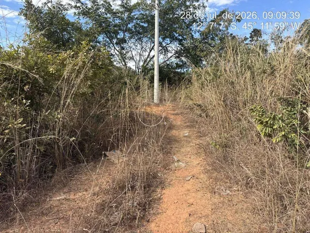 Imagem 5: Área À Venda em Barreiras, Km 30, 13,014Ha