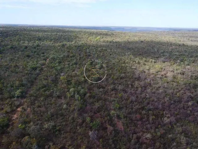 Imagem 8: Área À Venda em Barreiras, Km 30, 13,014Ha