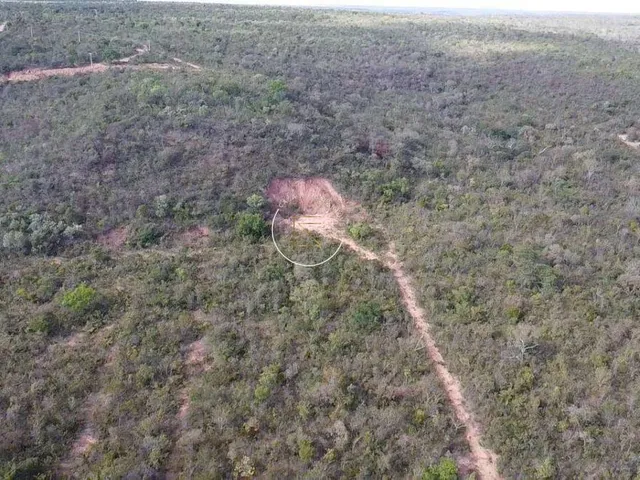Imagem 9: Área À Venda em Barreiras, Km 30, 13,014Ha