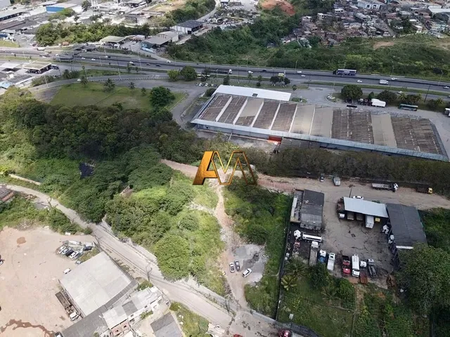 Imagem 2: Terreno em Valéria - Residencial/Comercial com Vegetação