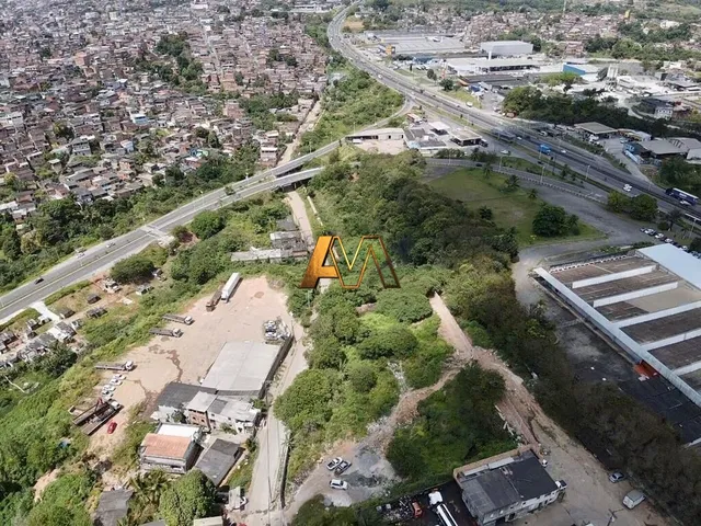 Imagem 14: Terreno em Valéria - Residencial/Comercial com Vegetação
