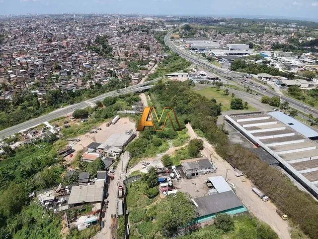 Imagem 13: Terreno em Valéria - Residencial/Comercial com Vegetação