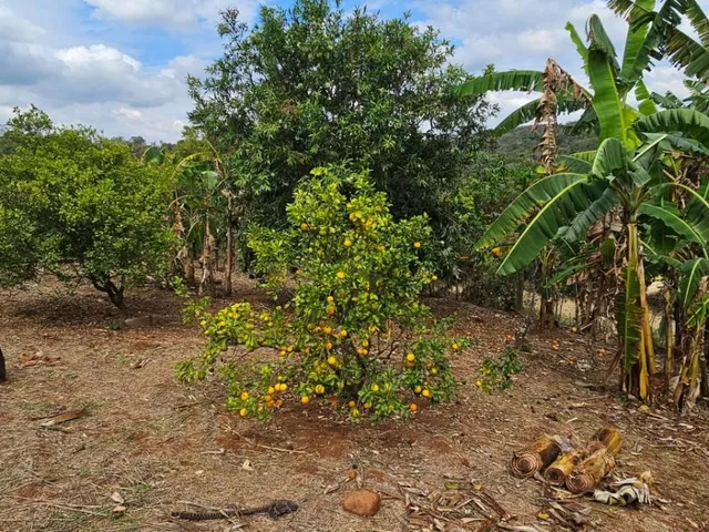 Imagem 6: Sítio de Alto Padrão À Venda em Esmeraldas ? Mg com 57.000 M²