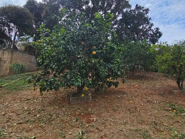 Imagem 11: Sítio de Alto Padrão À Venda em Esmeraldas ? Mg com 57.000 M²