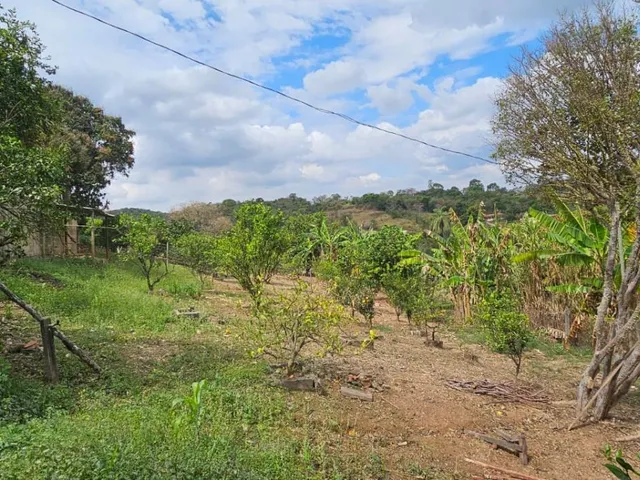 Imagem 15: Sítio de Alto Padrão À Venda em Esmeraldas ? Mg com 57.000 M²