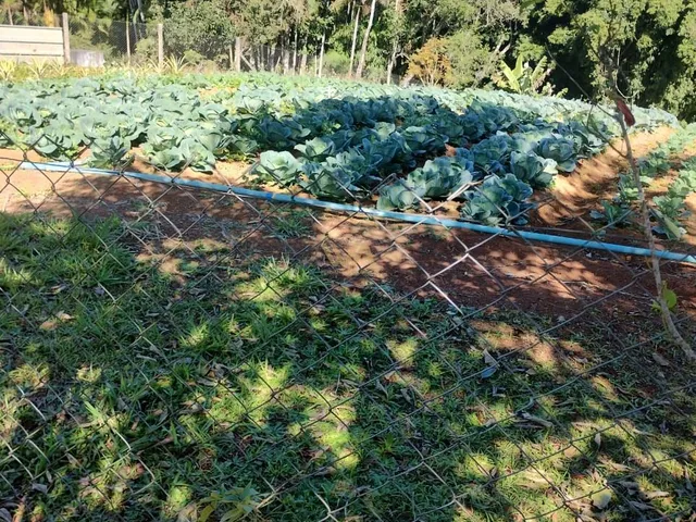 Imagem 8: Chácara 2 Dormitórios À Venda Boa Vista Mogi das Cruzes/Sp