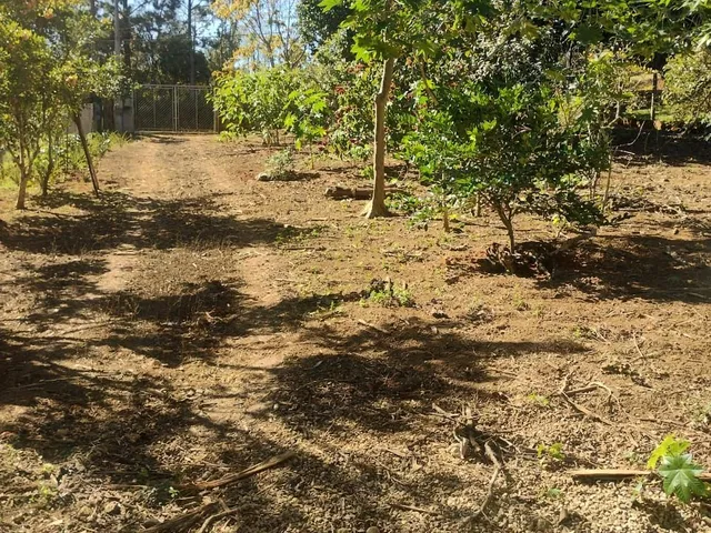 Imagem 2: Chácara 2 Dormitórios À Venda Boa Vista Mogi das Cruzes/Sp