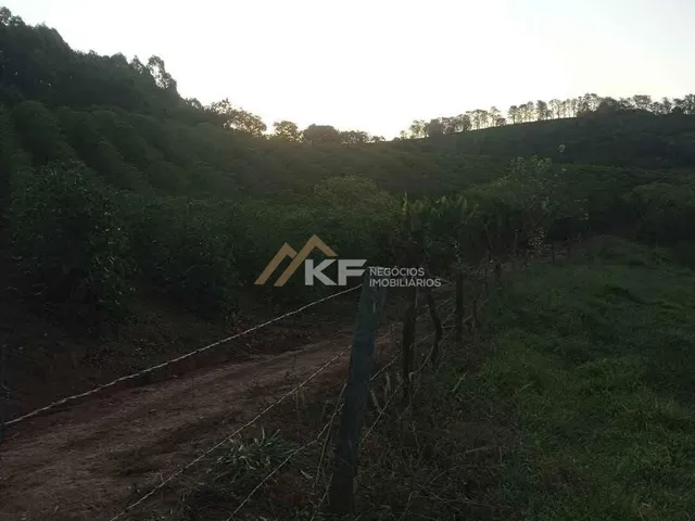 Imagem 9: Sítio de Café a Venda em Minas Gerais -Mg