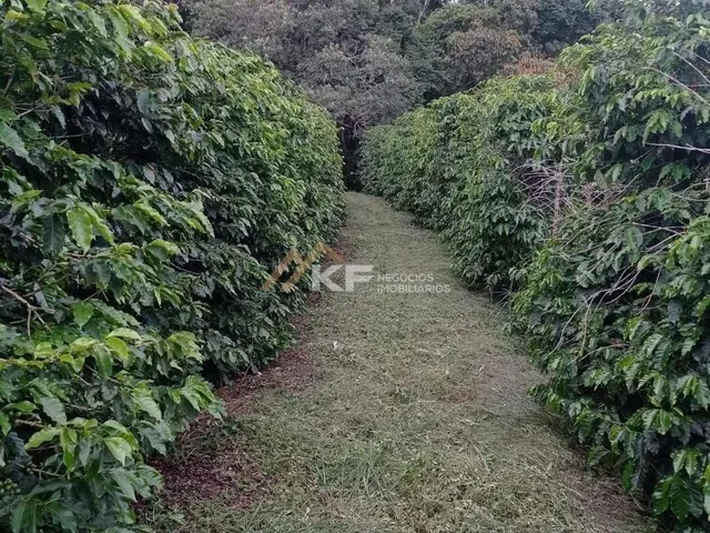 Imagem 7: Sítio de Café a Venda em Minas Gerais -Mg