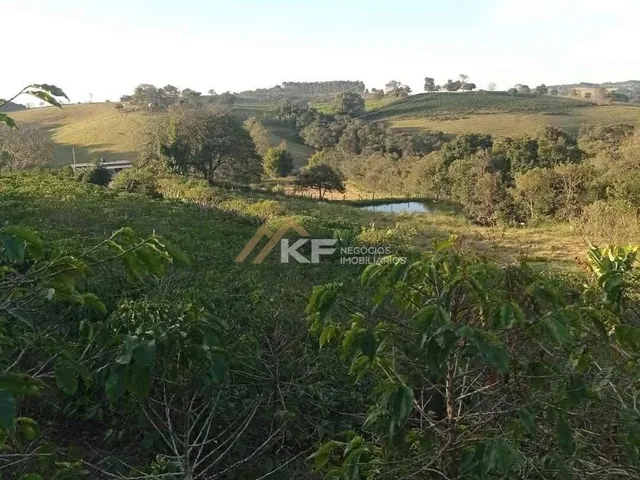 Imagem 3: Sítio de Café a Venda em Minas Gerais -Mg