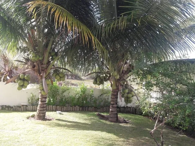 Imagem 10: Casa À Venda em Barra do Jacuípe - 5 Quartos · 5 Suítes · 2 Vagas · 350 M²