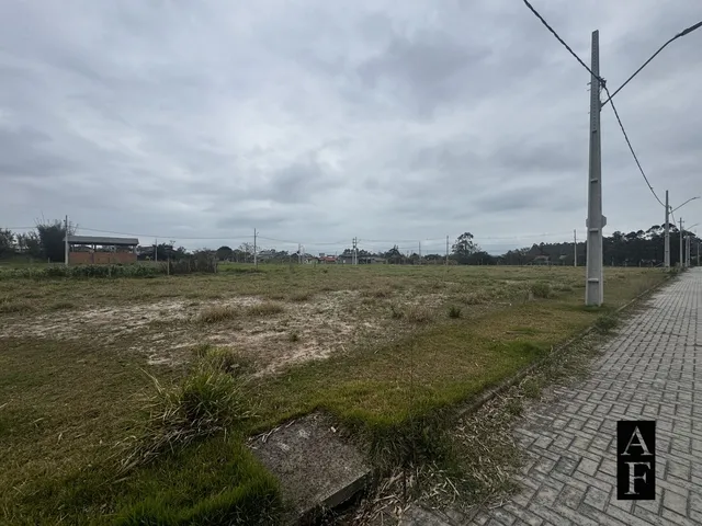 Imagem 3: Terreno em Loteamento (Campo Duna