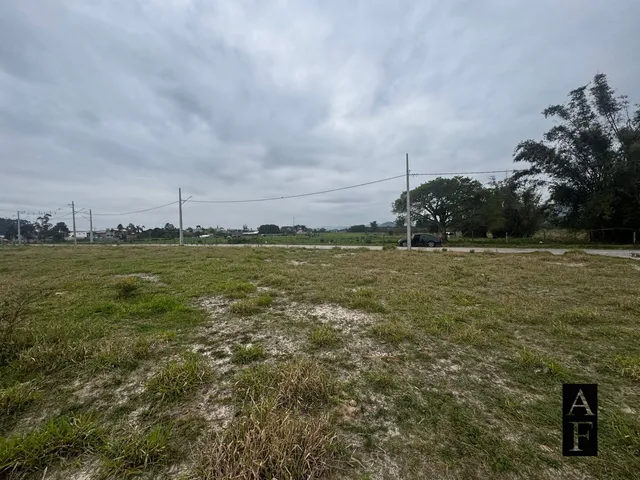 Imagem 8: Terreno em Loteamento (Campo Duna