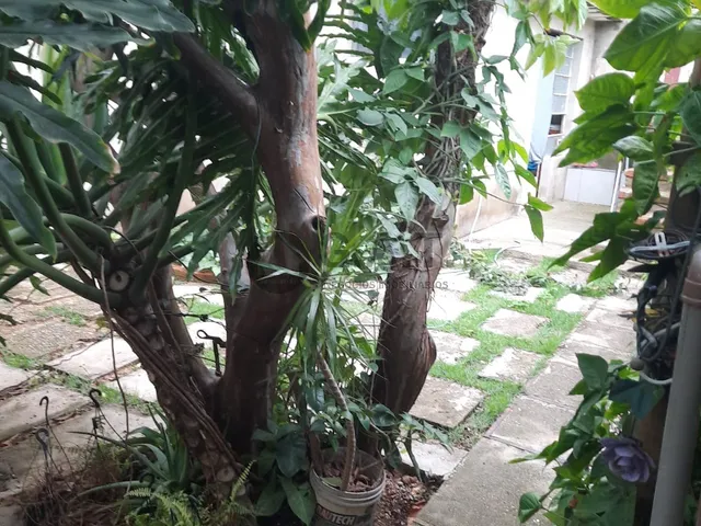 Imagem 11: Casa À Venda em Sorocaba-Sp, Vila Carvalho: 3 Quartos, 2 Suítes, 2 Salas, 3 Banheiros, 3 Vagas, 200M²!