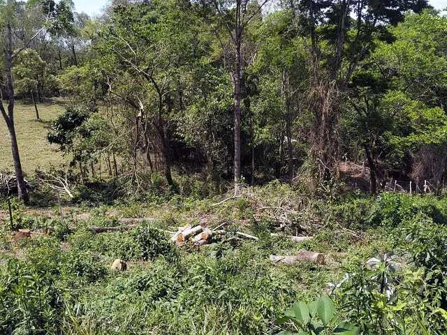Imagem 3: Terreno de Chácara - 3 Minutos de Poços de Caldas