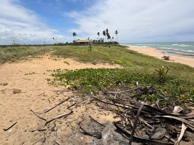 Imagem 8: Terreno - Camaçari