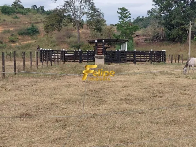 Imagem 2: 0 Terreno / lote com venda por R$12.900.000