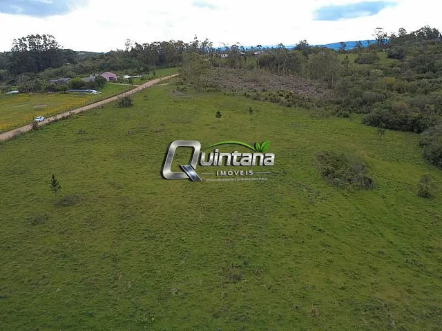 Imagem: Venda de Campo 6 Hectares em Cerrito/Rs