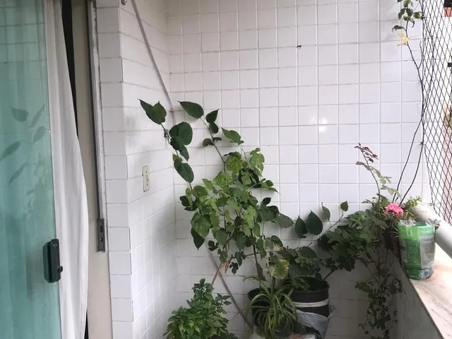 Imagem 2: Apartamento Residencial em Ipatinga - Mg, Caravelas