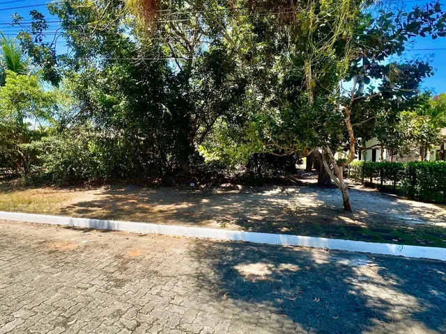 Imagem 3: Terreno no Condomínio Quinta das Loagos Pronto para Construir em Itacimirim