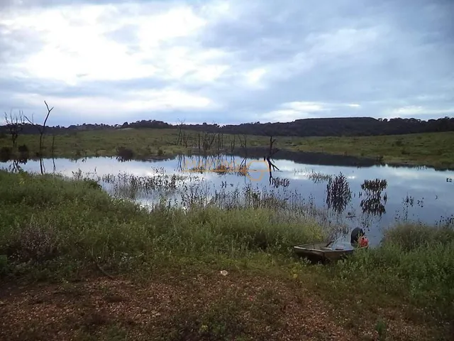 Imagem 11: Chacara À Venda