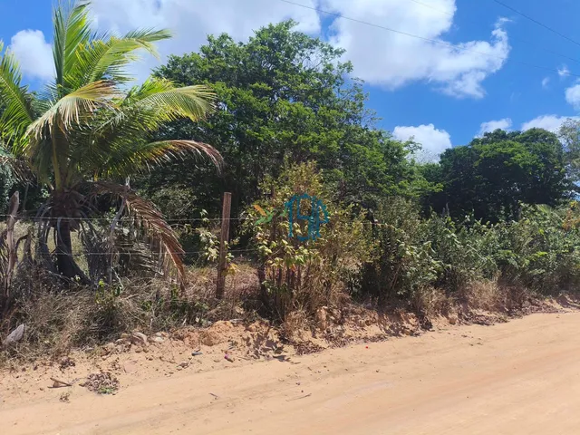 Imagem 4: Terreno Praia Cacimbinhas Tibau do Sul
