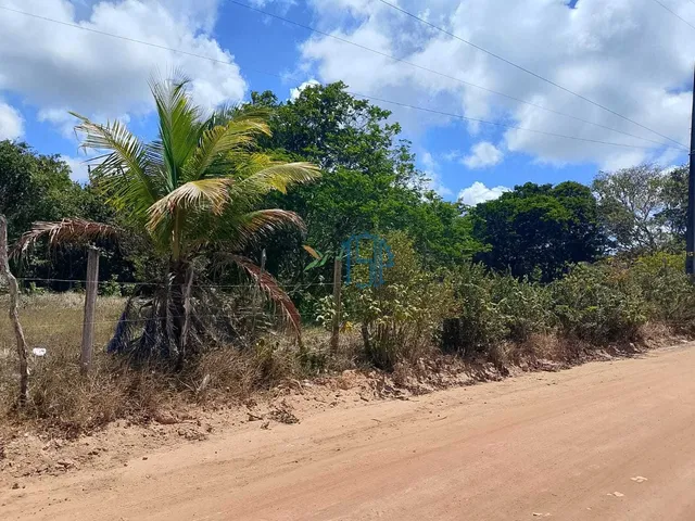 Imagem 7: Terreno Praia Cacimbinhas Tibau do Sul