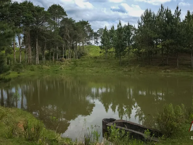 Imagem 2: Chacara Rural em São José dos Pinhais - Pr, Curralinho