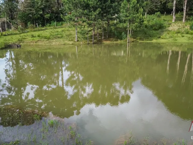 Imagem 11: Chacara Rural em São José dos Pinhais - Pr, Curralinho