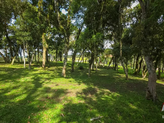 Imagem 6: Chacara Rural em São José dos Pinhais - Pr, Curralinho