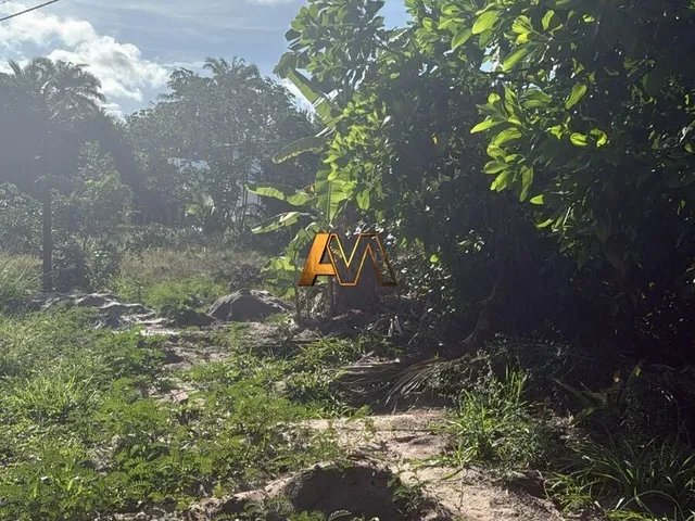 Imagem: Terreno À Venda no Bairro Centro - Maraú/Ba