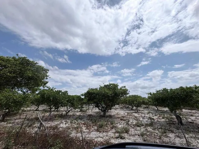 Imagem 5: Terreno Residencial em Pacajus - Ce, Tiririca