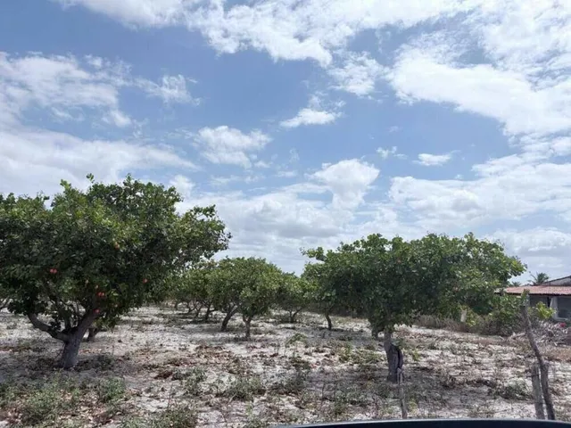 Imagem 4: Terreno Residencial em Pacajus - Ce, Tiririca