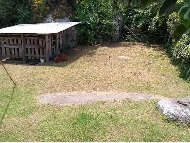 Imagem 6: Chácara para Venda em Canguçu, 2 Dormitórios, 1 Banheiro, 1 Vaga