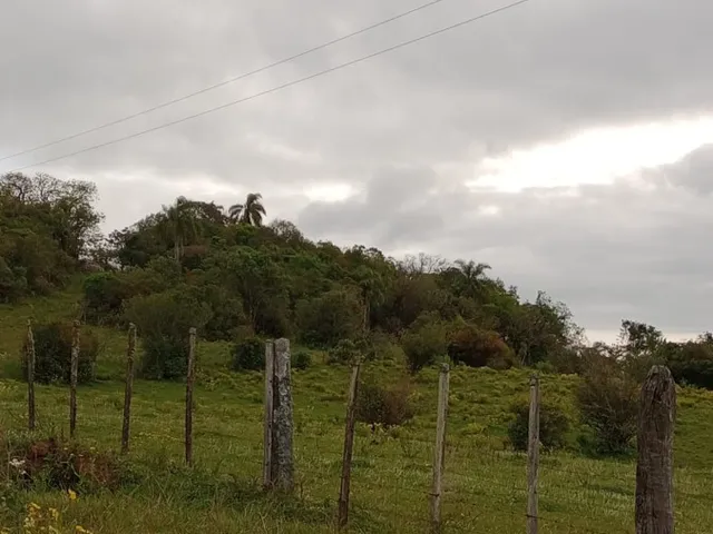 Imagem 14: Chácara para Venda em Canguçu, 2 Dormitórios, 1 Banheiro, 1 Vaga