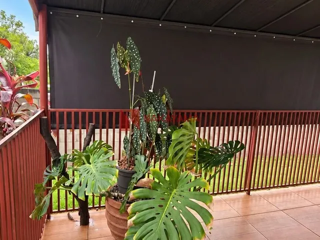Imagem 10: Casa em Condomínio com 3 Dormitórios Sendo 1 Suíte - Estância Cabral - Cambé Pr