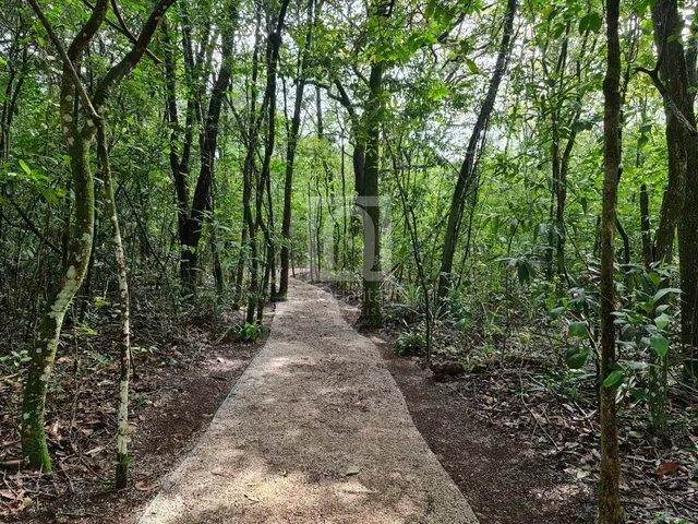 Imagem 15: Casa Térrea no Condomínio Villa do Bosque - Sorocaba