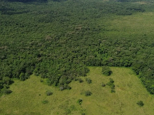 Imagem 15: Área À Venda no Bairro Rio Bonito (Pirabeiraba) - Joinville/Sc
