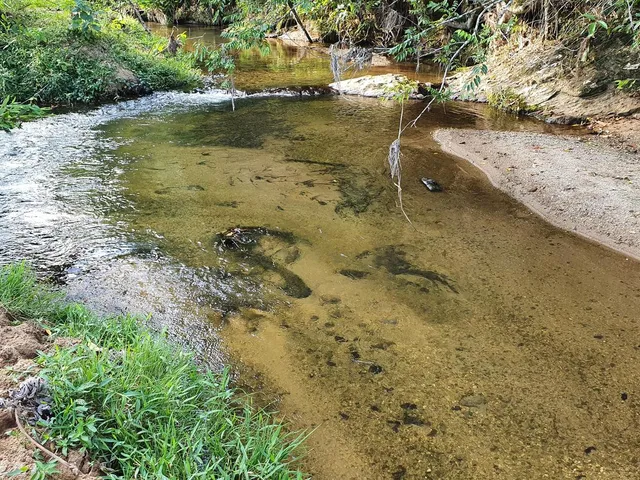 Imagem 2: Terreno Rural Tijucas com Riacho nos Fundos