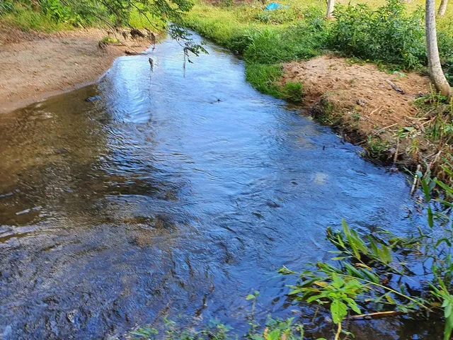 Imagem 13: Terreno Rural Tijucas com Riacho nos Fundos